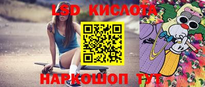 сатива Краснодар