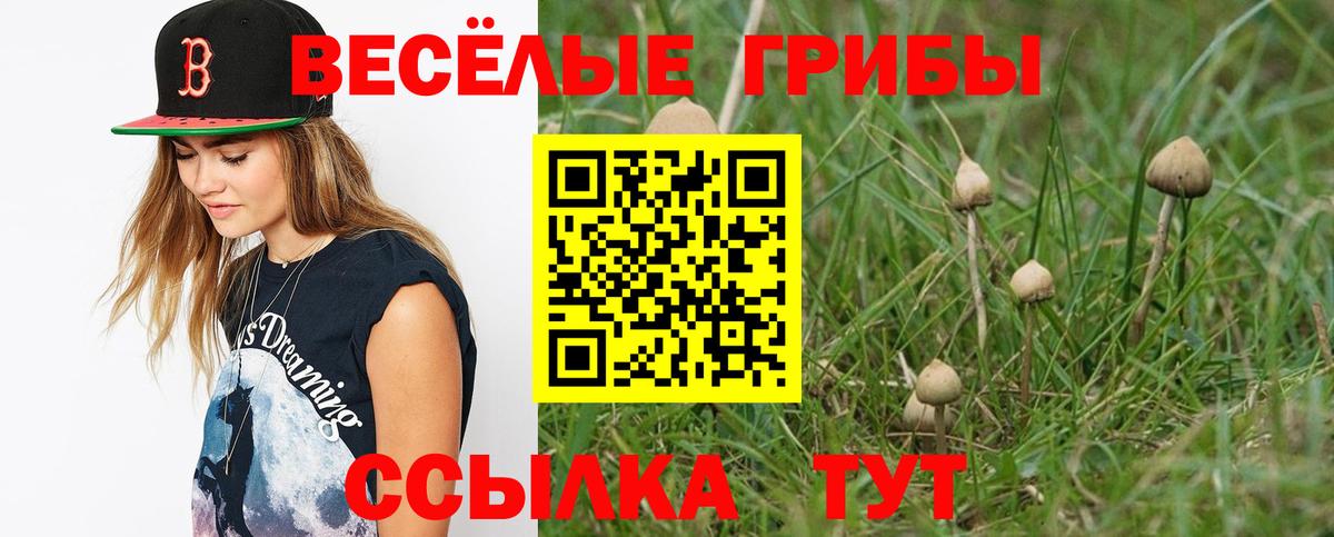 Котовск  Галлюциногенные грибы прущие грибы  Вход с VPN 